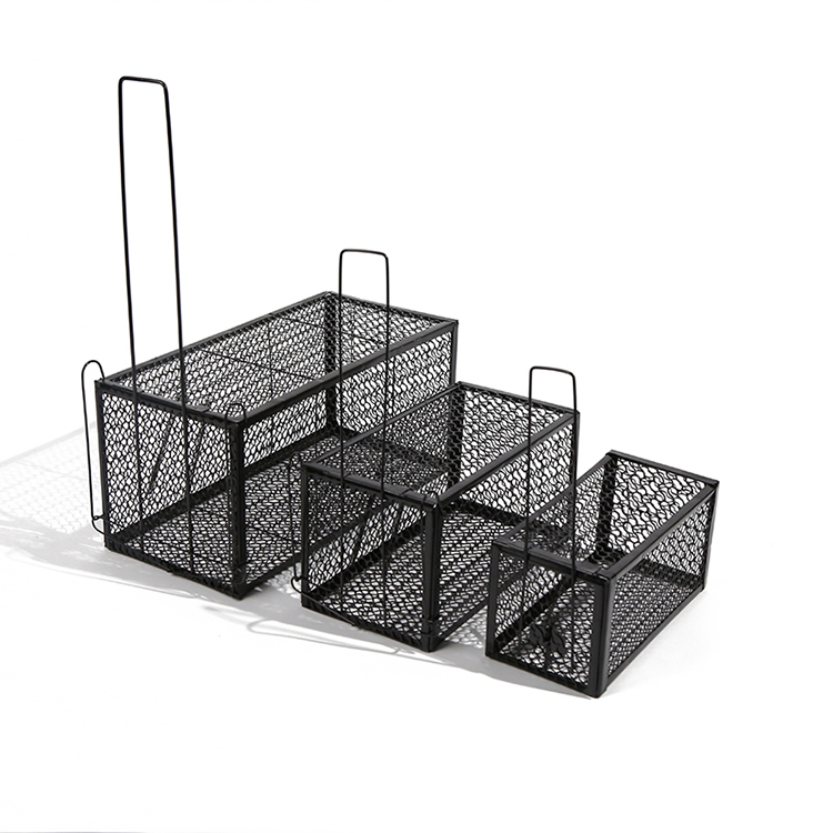 mouse cage01.jpg